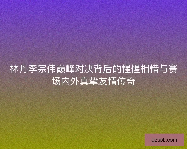 林丹李宗伟巅峰对决背后的惺惺相惜与赛场内外真挚友情传奇